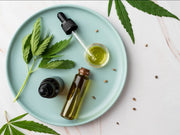 CBD in a Nutshell: The Essential Guide to Cannabidiol