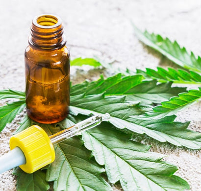 CBG in a Nutshell: The Mother of All Cannabinoids