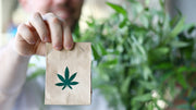 Adult Use Cannabis vs. Hemp-Derived Cannabinoids