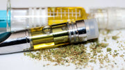 The Path of Cannabinoids: Comparing Effects of Smoking and Edibles